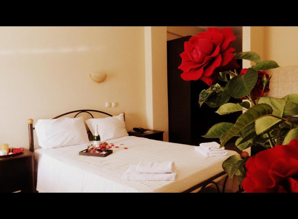Aparthotel Estia Orestiás Pokoj fotografie